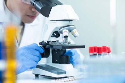 人工肝臓の再現に前進、iPS細胞活用の新技術
